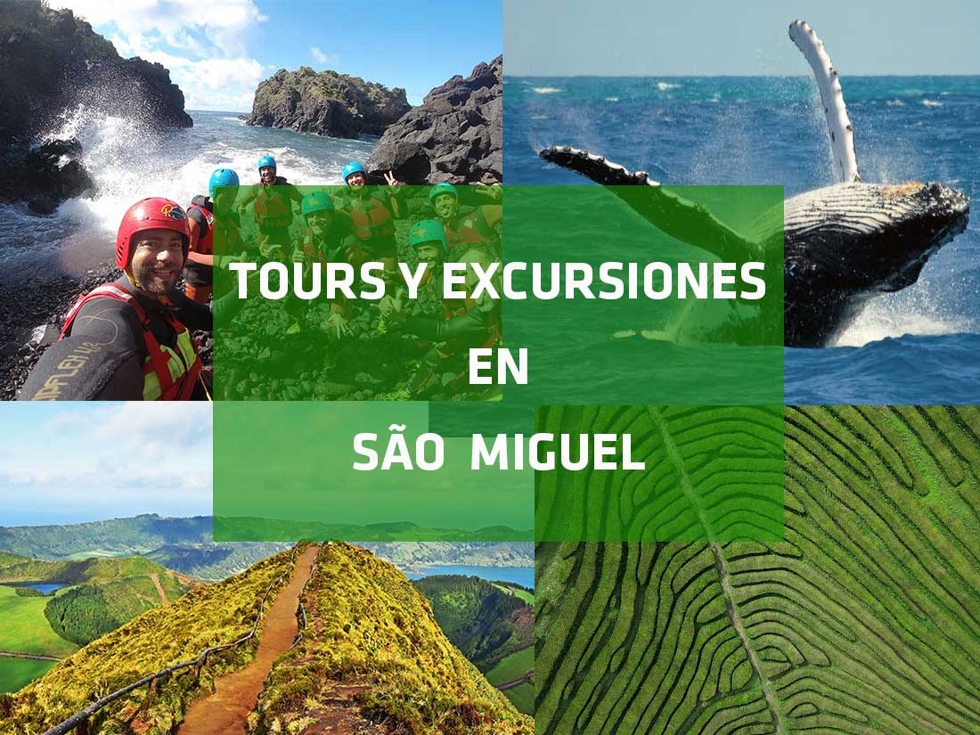 Tours y excursiones en la Isla de São Miguel