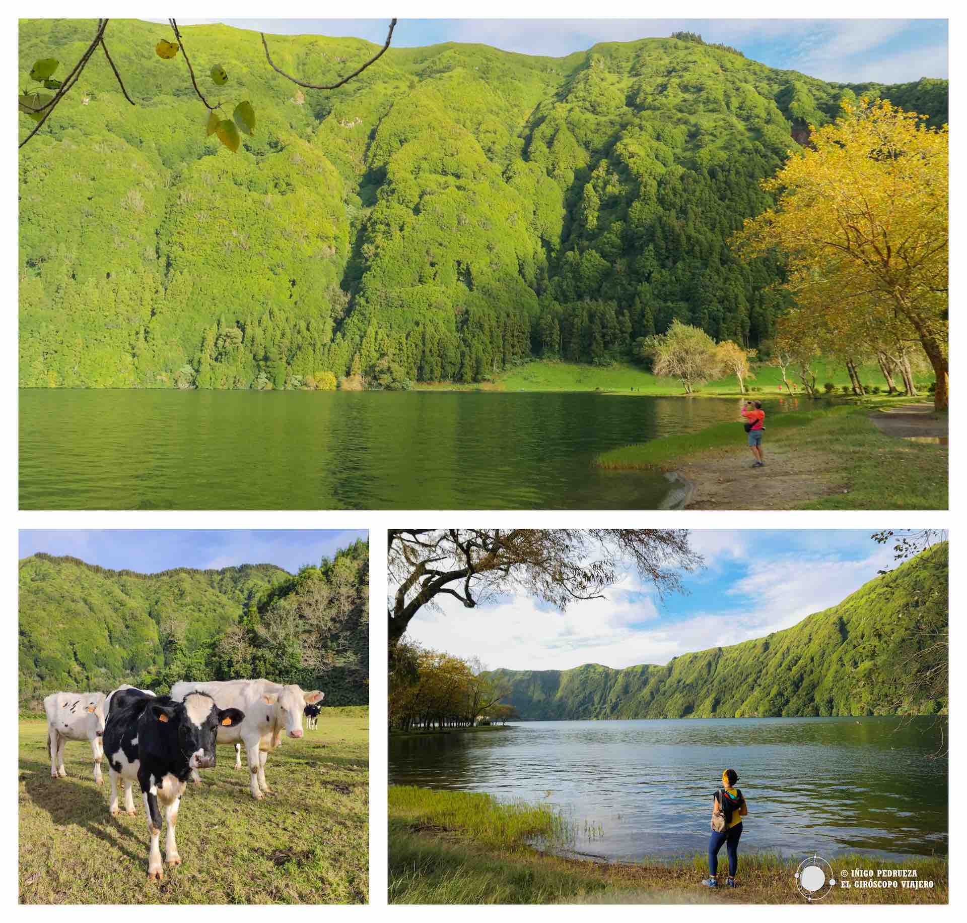 Lagunas de Sete Cidades.